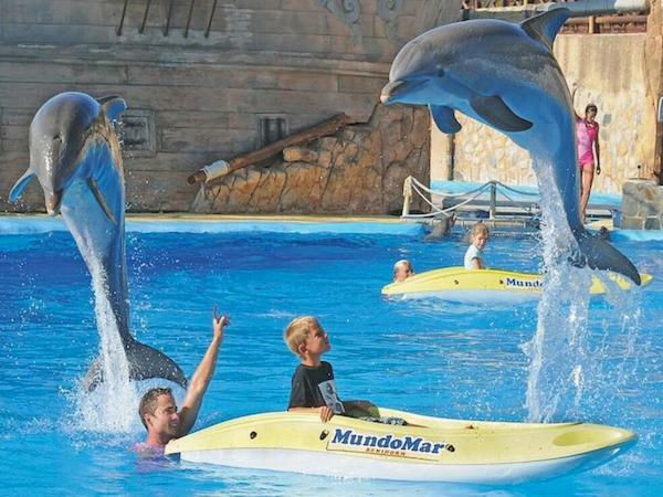 בנידורם Vacanza Complex מראה חיצוני תמונה